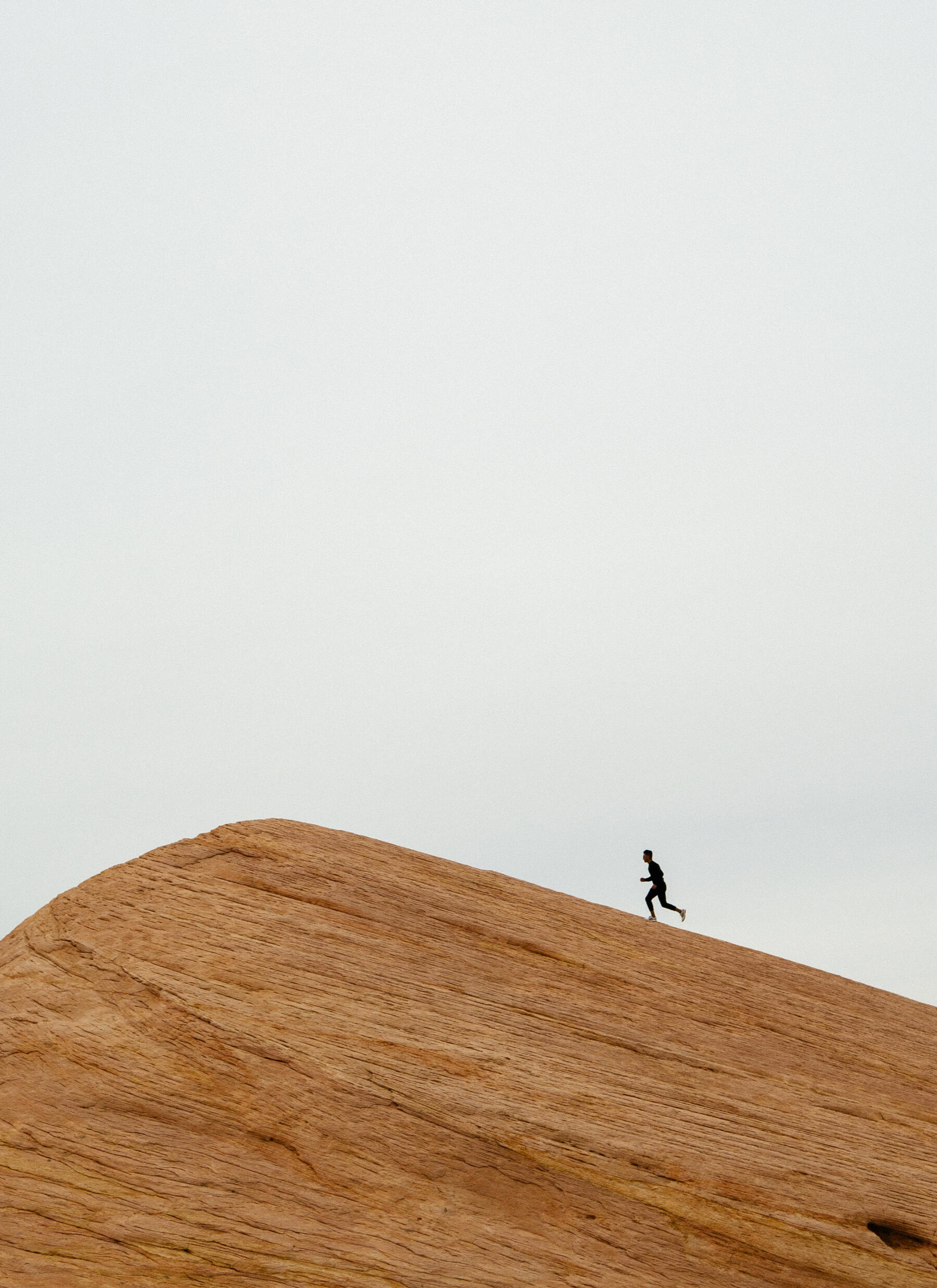 Photo by Jeremy Lapak